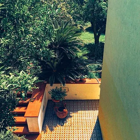 B&B Massico Apartments