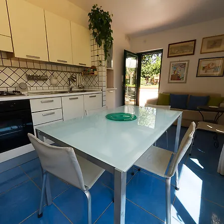 B&B Massico Apartments