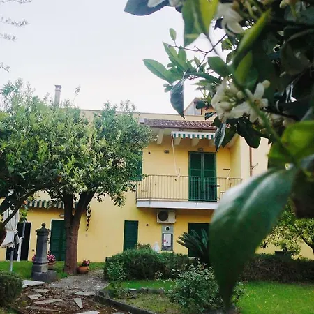 B&B Massico Apartments Frühstückspension