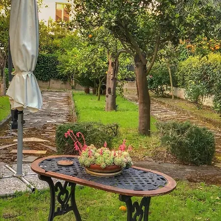 B&B Massico Apartments